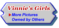  Pictures of Vinnie's Girls Owned by Others 