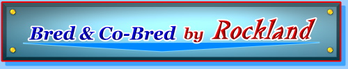  Bred & Co-Bred by ROCKLAND 